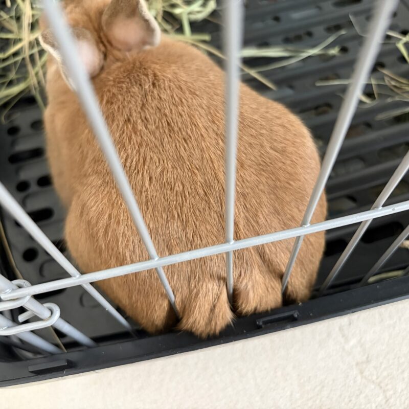 隙間前