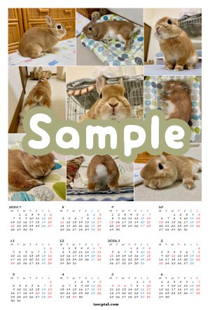 sample2025